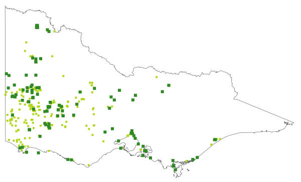 Centrolepis polygyna (distribution map)