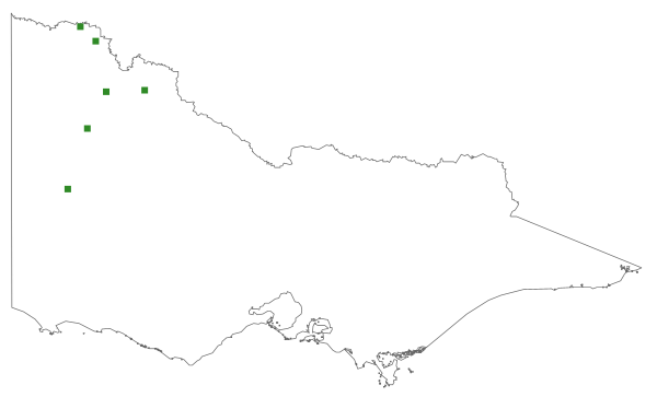 Bryum eremaeum (distribution map)