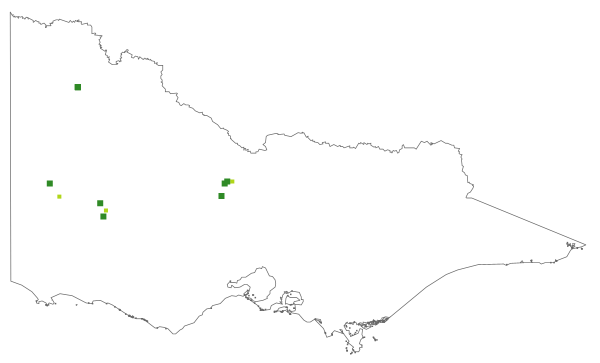 Philotheca difformis subsp. difformis (distribution map)