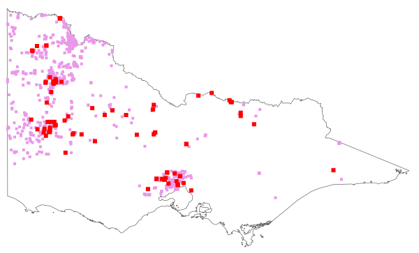 Pentameris airoides (distribution map)