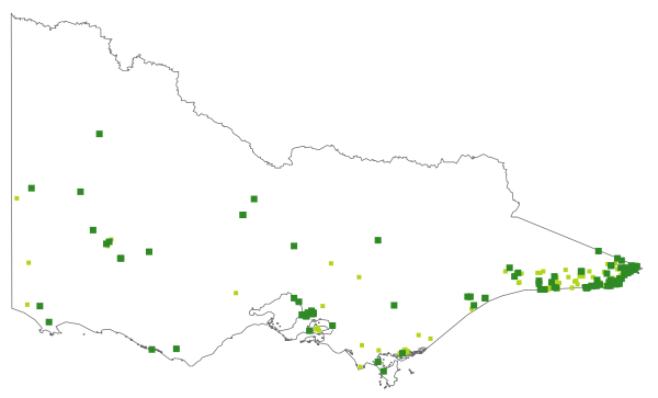 Cassytha glabella f. glabella (distribution map)