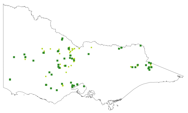 Swainsona behriana (distribution map)