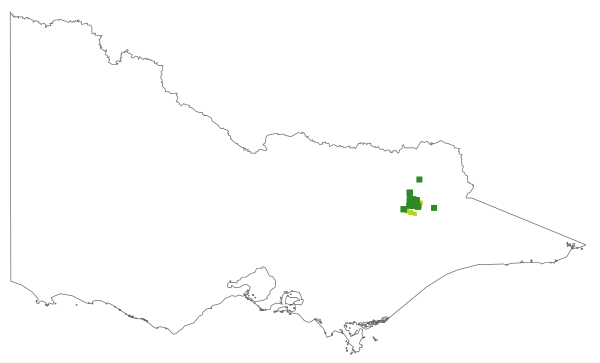 Epacris glacialis (distribution map)