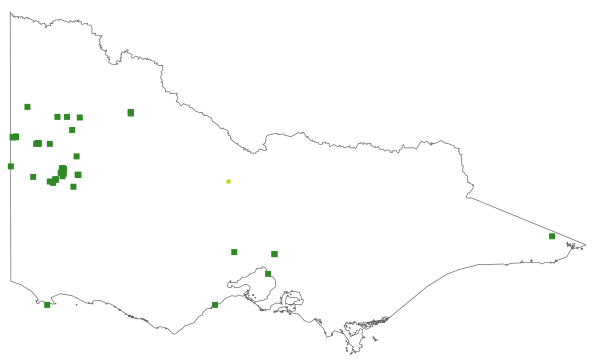 Caladenia capillata (distribution map)