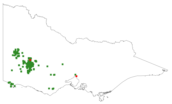 Grevillea aquifolium (distribution map)