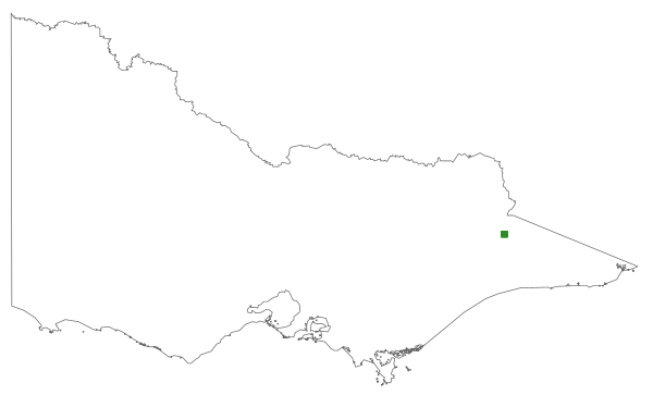 Actinotus forsythii (distribution map)