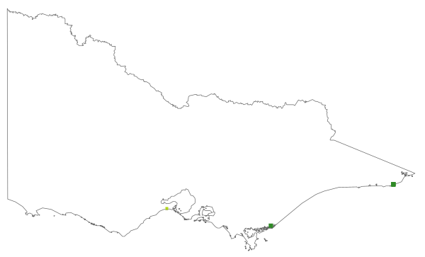 Zostera capricorni (distribution map)