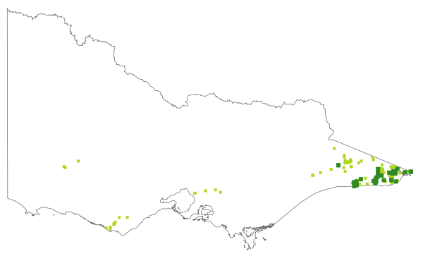 Leptospermum glabrescens (distribution map)