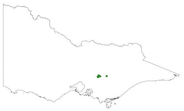 Nematolepis wilsonii (distribution map)