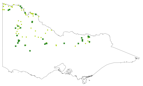 Amyema miraculosa subsp. boormanii (distribution map)
