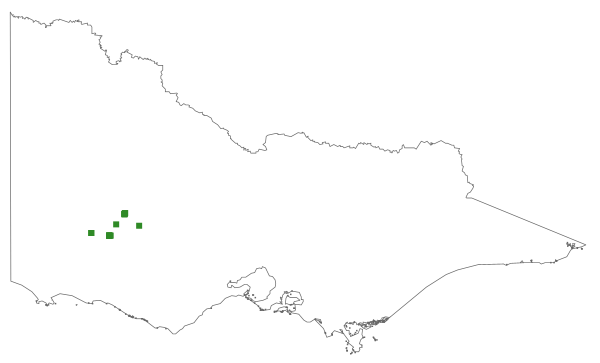 Prasophyllum subbisectum (distribution map)
