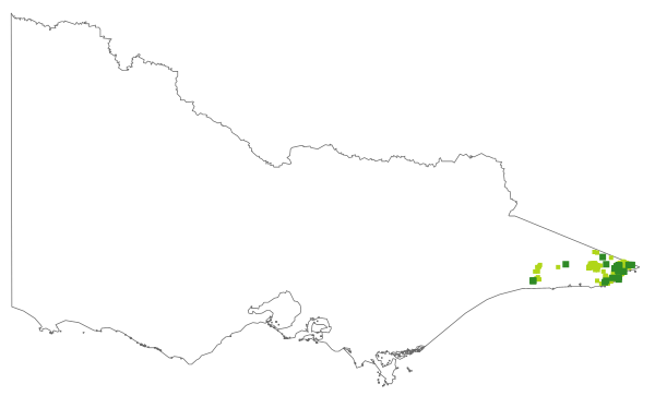 Schelhammera undulata (distribution map)