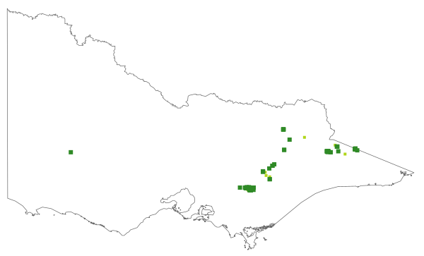 Eucalyptus glaucescens (distribution map)