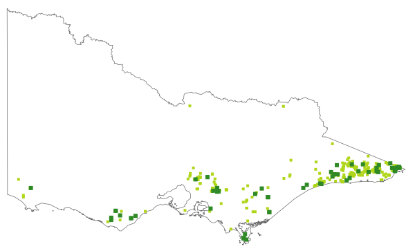Callitriche muelleri (distribution map)